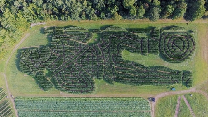 Paul+Bunyan+Corn+Maze+Media+Photo+Compressed